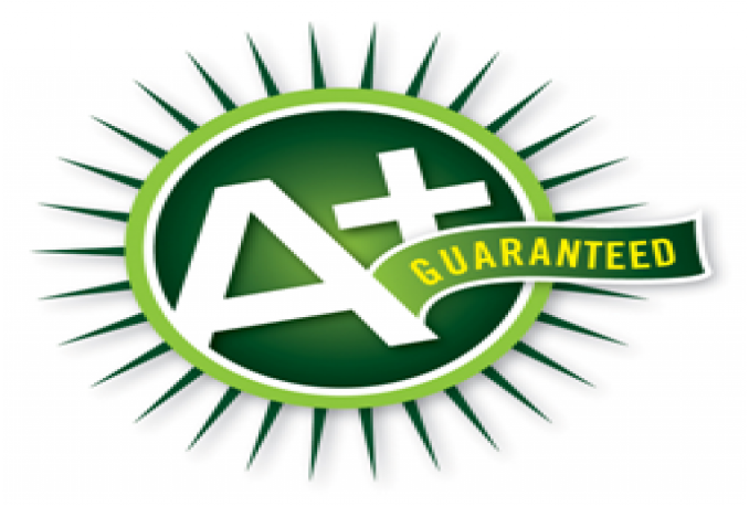 Gender Equality Persuasive Speech