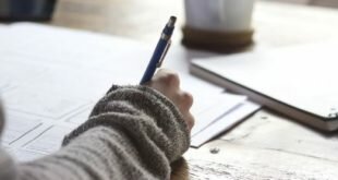 paraphrase to beat turnitin